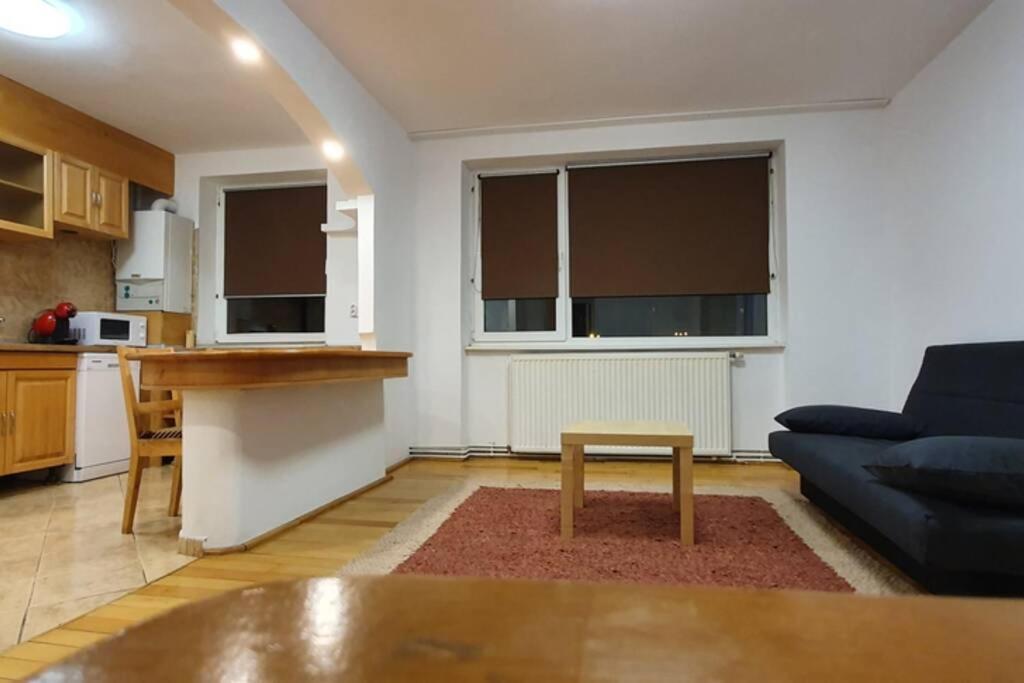 Titian'S Cozy Apartment Сибиу Экстерьер фото