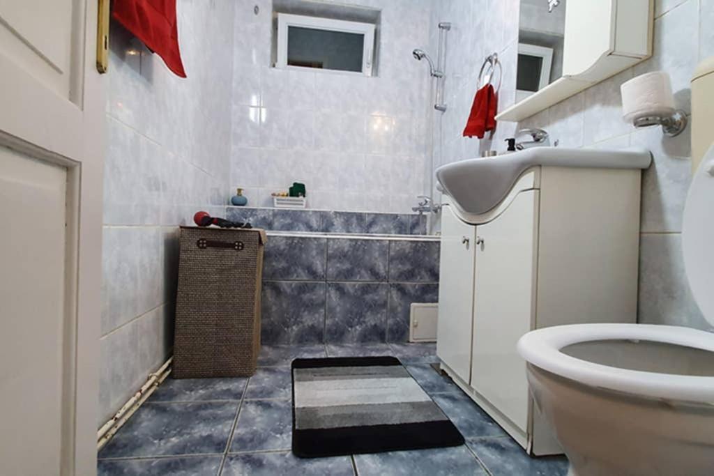 Titian'S Cozy Apartment Сибиу Экстерьер фото